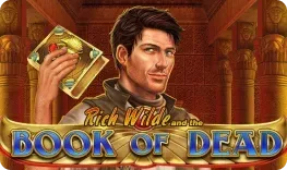 Book of Dead slot at Vipsta Casino
