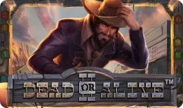 Dead or Alive II slot at Vipsta Casino