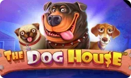 The Dog House slot at Vipsta Casino